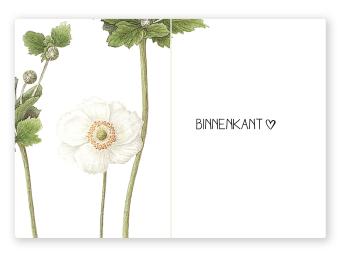 images/productimages/small/bk12-2.jpg