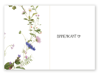 images/productimages/small/bk13-2.png