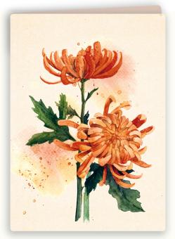 images/productimages/small/bk49-webje.jpg
