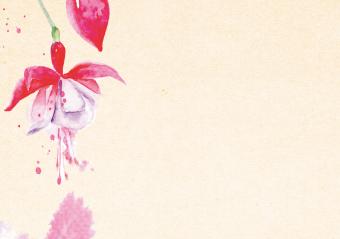 images/productimages/small/bk502.jpg