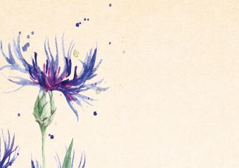 images/productimages/small/bk512.jpg