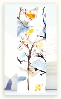 images/productimages/small/bl37-nwebje.jpg