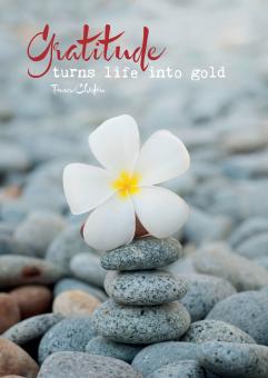 images/productimages/small/bs1.jpg