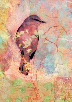 images/productimages/small/bs27.jpg