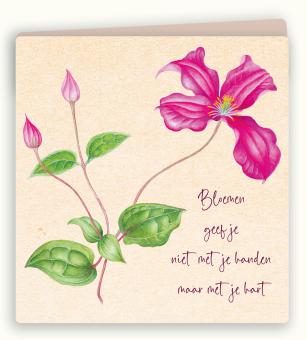 images/productimages/small/bwk63-webje.jpg