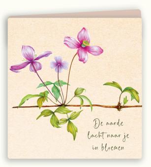 images/productimages/small/bwk65-webje.jpg