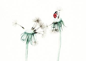 images/productimages/small/ly36d.jpg