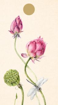 images/productimages/small/lyg28.jpg