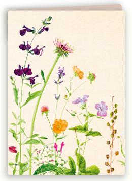 Botanische kaart 14