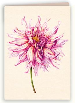 Botanische kaart 23