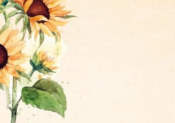 Botanische kaart 56
