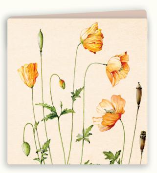Botanische wenskaart 28