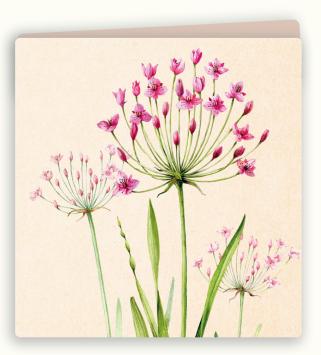 Botanische wenskaart 48