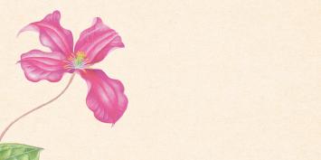 Botanische wenskaart 63