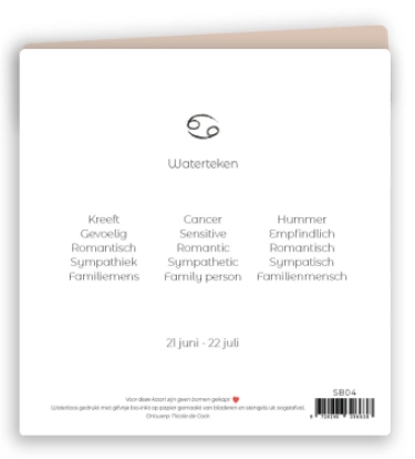 Sterrenbeeld kaart 04