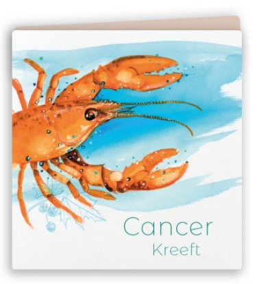 Sterrenbeeld kaart 04