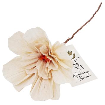 Wens Bloem | Anemoon