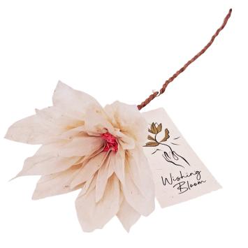 Wens Bloem | Lotus
